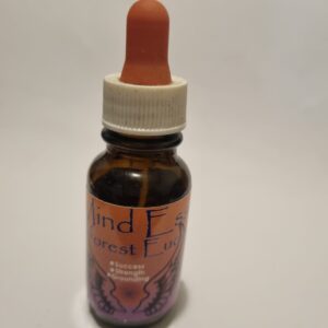 Rainforest Eucalypt Essence – Renewal & Energetic Healing