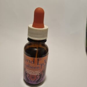 Piccabeen Palm Essence – Authentic Self & Confidence